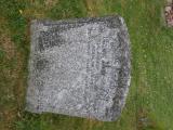 image of grave number 530311